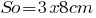 So=3x8cm